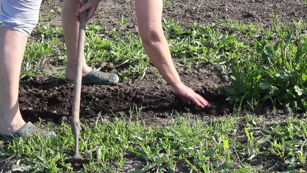 身着浅色家居服的妇女在菜园里用视频素材