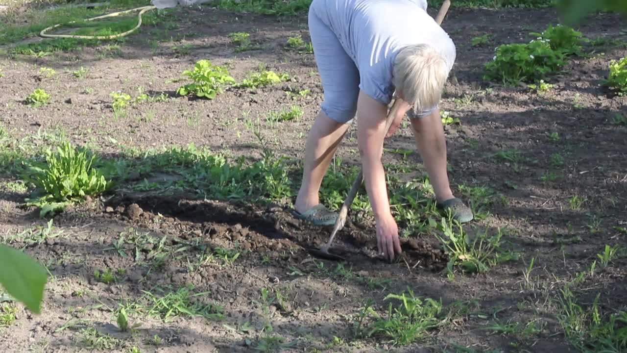 一名身着家庭制服的妇女正在他们夏季别墅的地洞里播种蔬菜种子视频素材