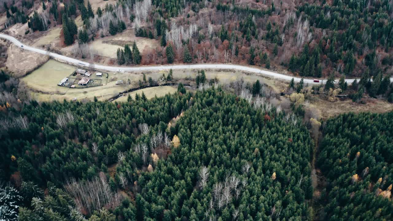 松林环绕的道路视频素材