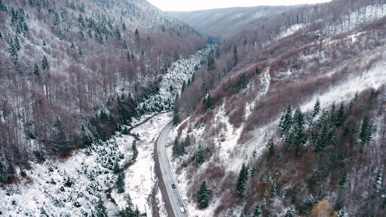 山坡上的冬季森林积雪视频素材