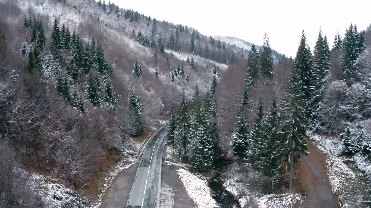 山坡上的冬季森林积雪视频素材