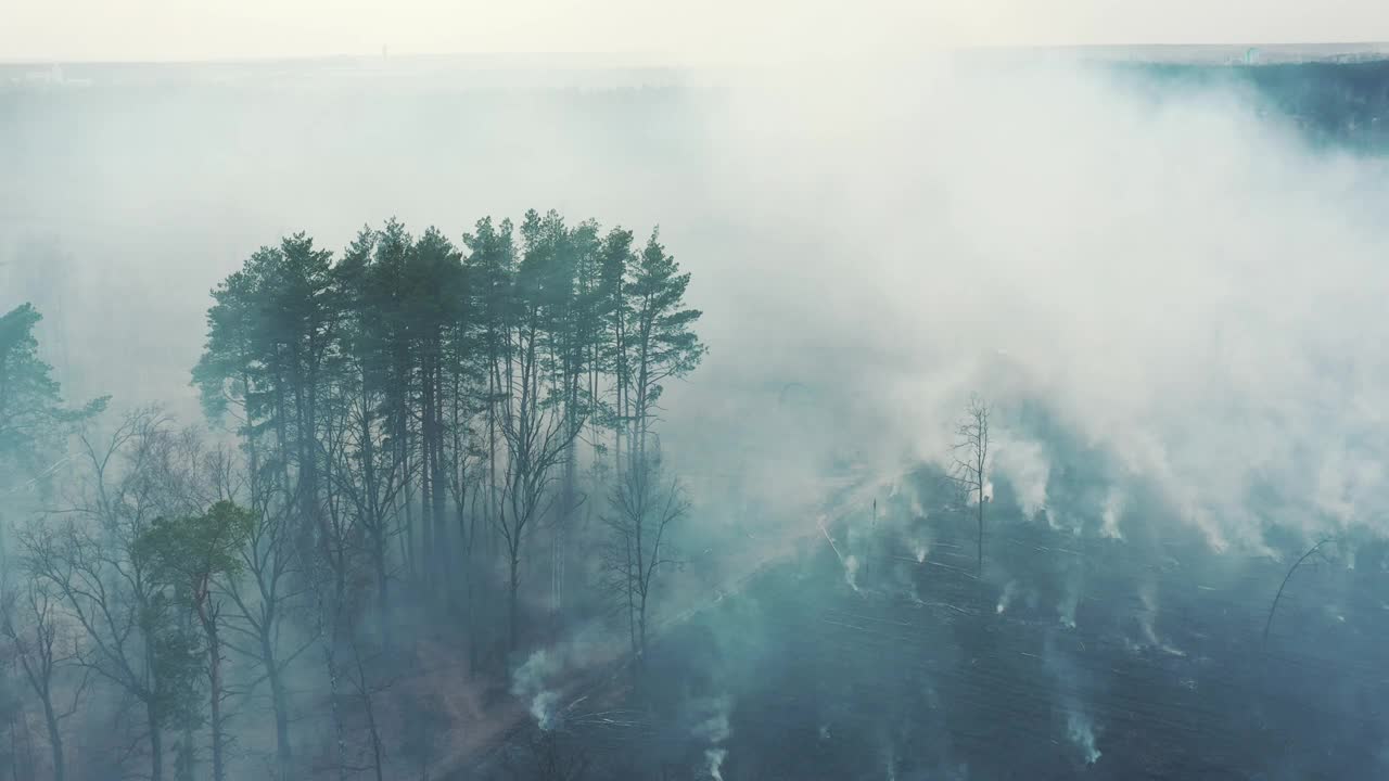 鸟瞰图。在干旱炎热的天气里，春天的干草会燃烧。草丛中的火与烟。野火破坏草地。自然的危险。生态问题空气污染。自然灾害视频素材