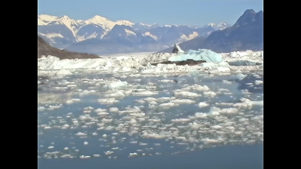 阿拉斯加威廉王子湾档案视频素材