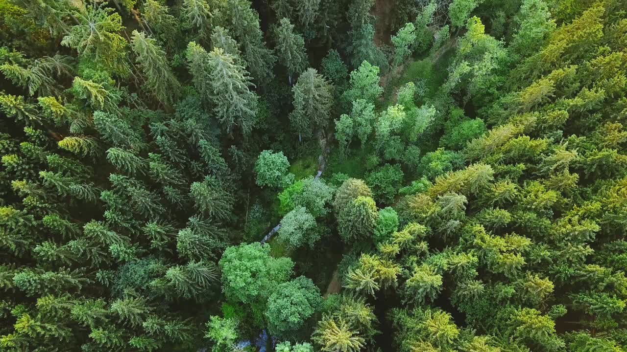 鸟瞰图，田园风光，自然景观，无人机飞行视频素材