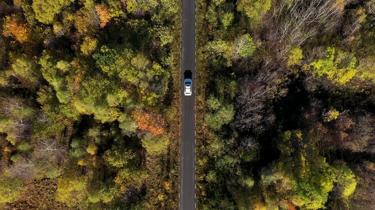 飞过一辆白色的汽车，行驶在五彩缤纷的秋天森林道路上。无人机视角视频素材