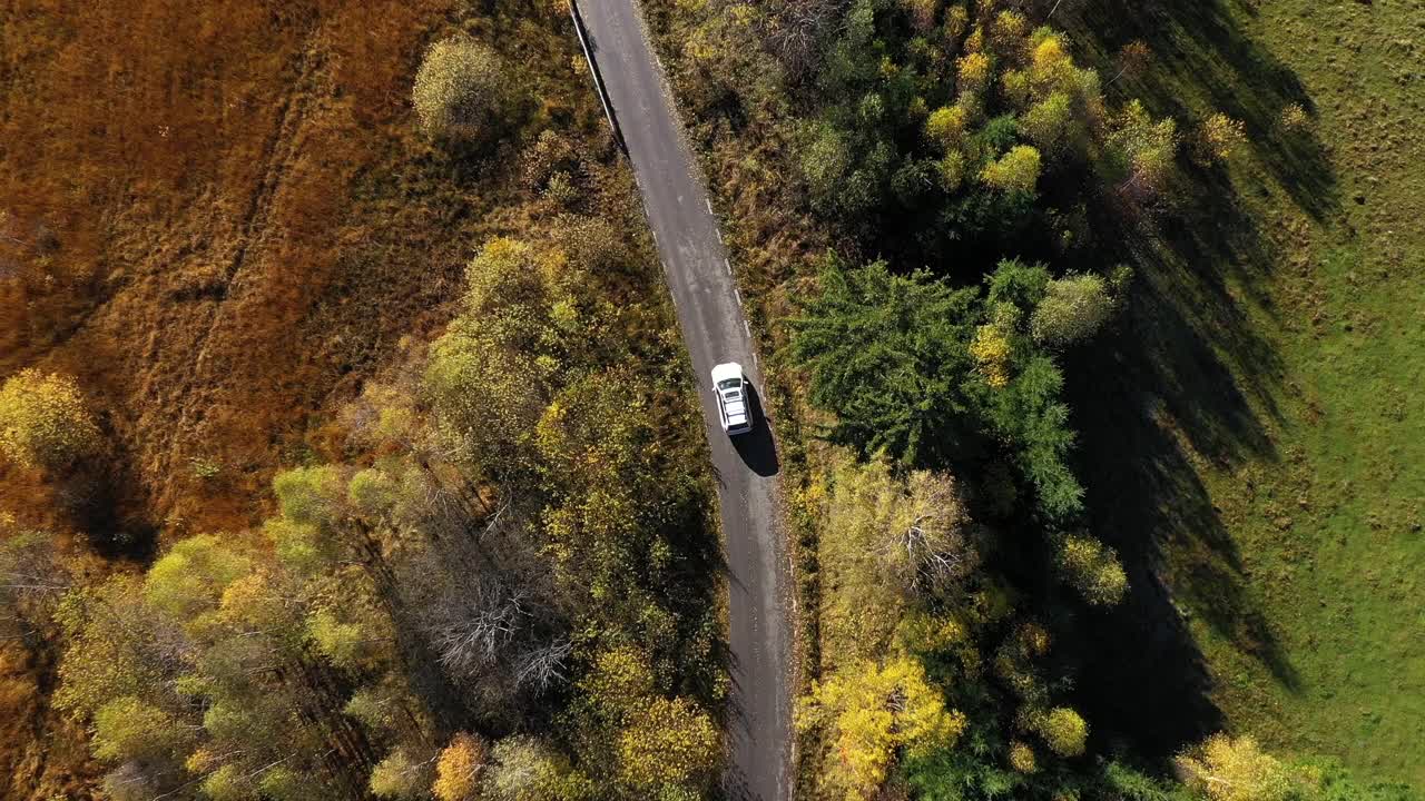 飞过一辆白色的汽车，行驶在五彩缤纷的秋天森林道路上。无人机视角视频素材