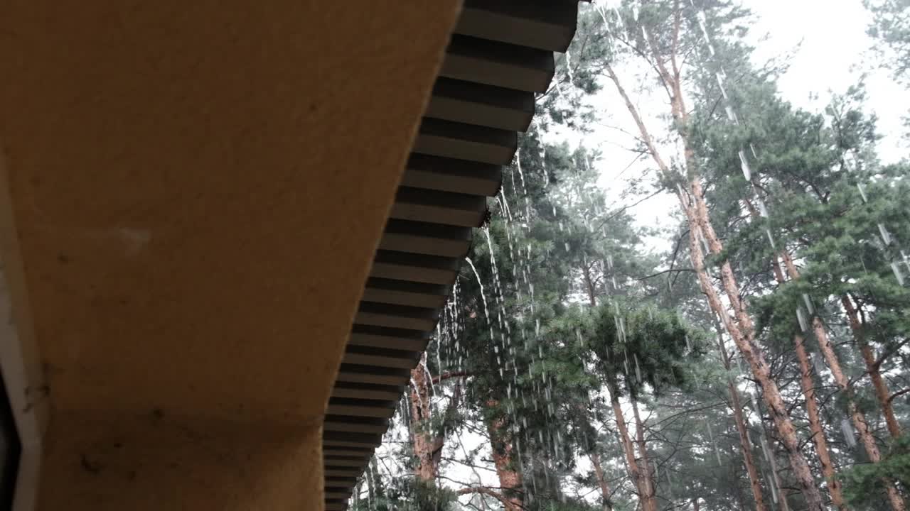 雨水从屋顶流下来，落在松林附近视频素材