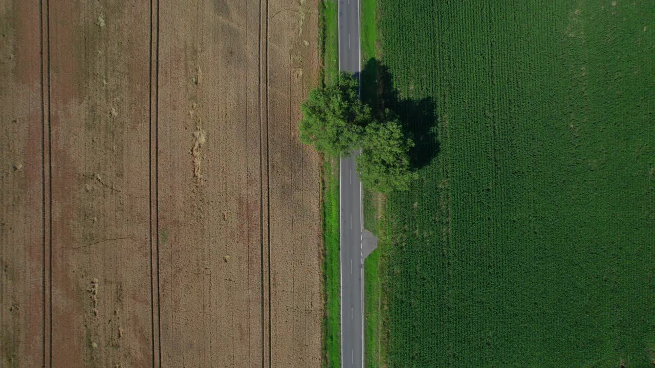 乡村景观中的乡村道路(空中)视频素材