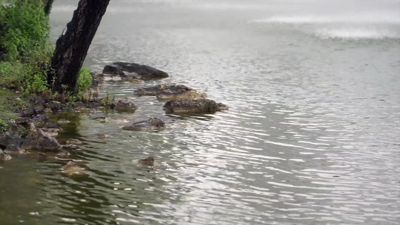 雨滴慢慢地滴在湿地上视频素材