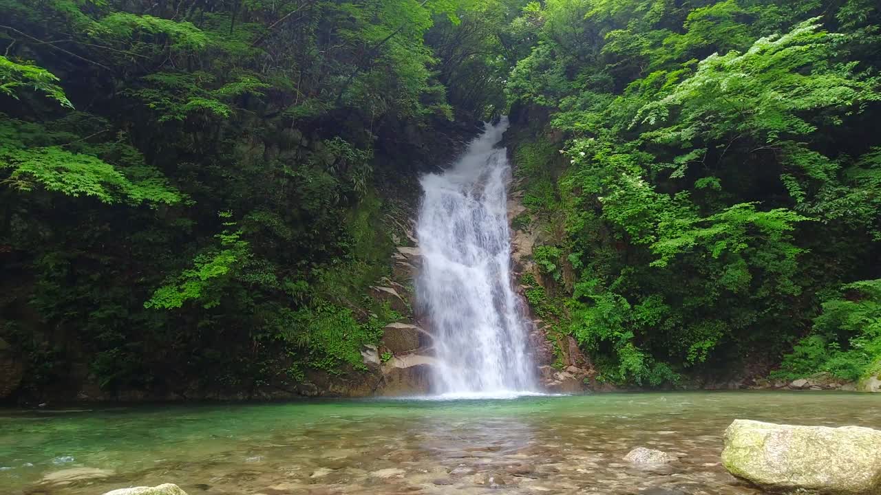 在郁郁葱葱的山林中原始的大瀑布视频素材