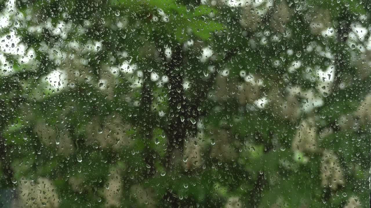 雨点从窗户玻璃上滴下来。下雨,有风的天气。盛开的chestnut.4k视频素材