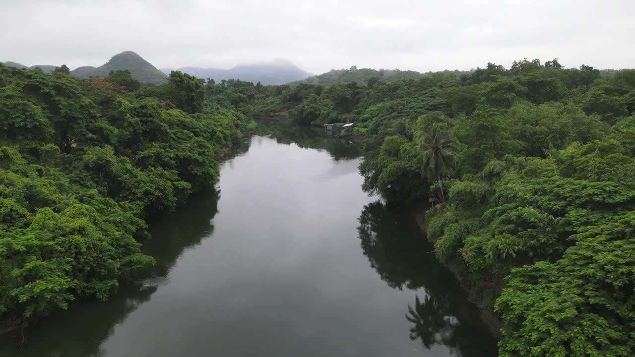 鸟瞰绿色大自然，宁静河流，雨后飞越热带绿色森林视频素材