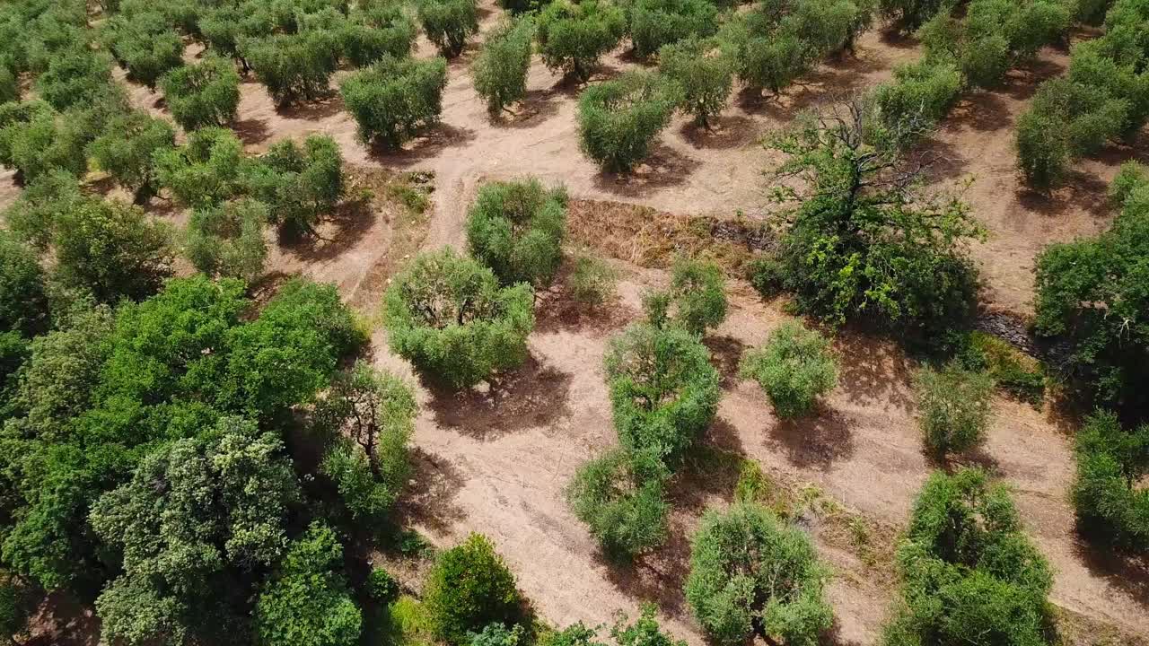 鸟瞰图monsummano term意大利托斯卡纳夏季无人机飞行视频素材