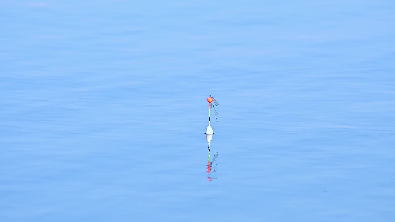 鱼竿漂浮在湖面上。视频素材