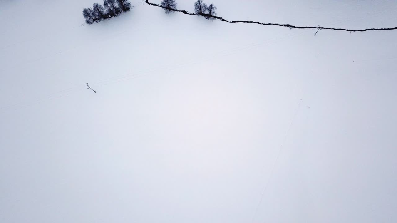 无人机在弗雷永森林和田野的巴伐利亚森林上空飞行视频素材