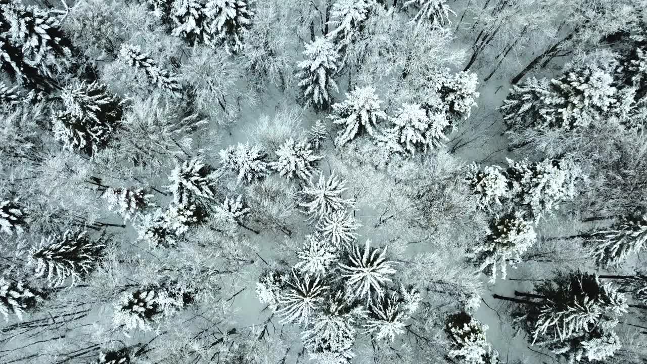 无人机在弗雷永森林和田野的巴伐利亚森林上空飞行视频素材