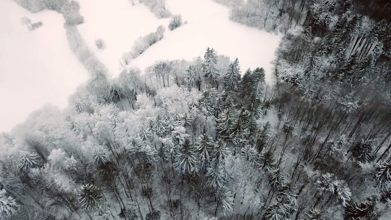 无人机在弗雷永森林和田野的巴伐利亚森林上空飞行视频素材