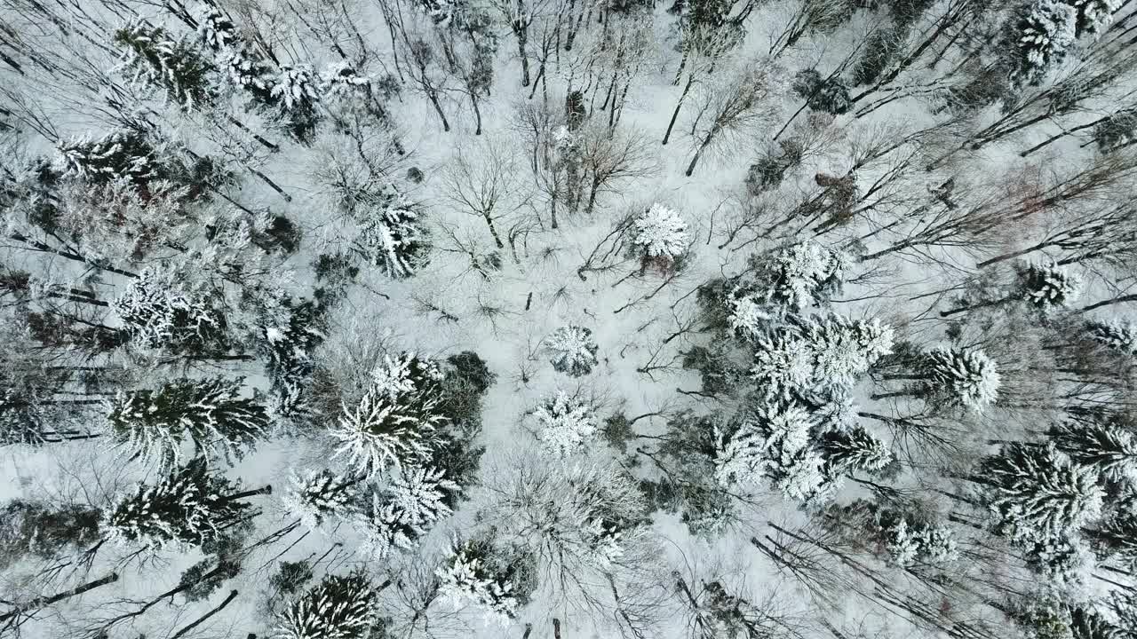 无人机在弗雷永森林和田野的巴伐利亚森林上空飞行视频素材