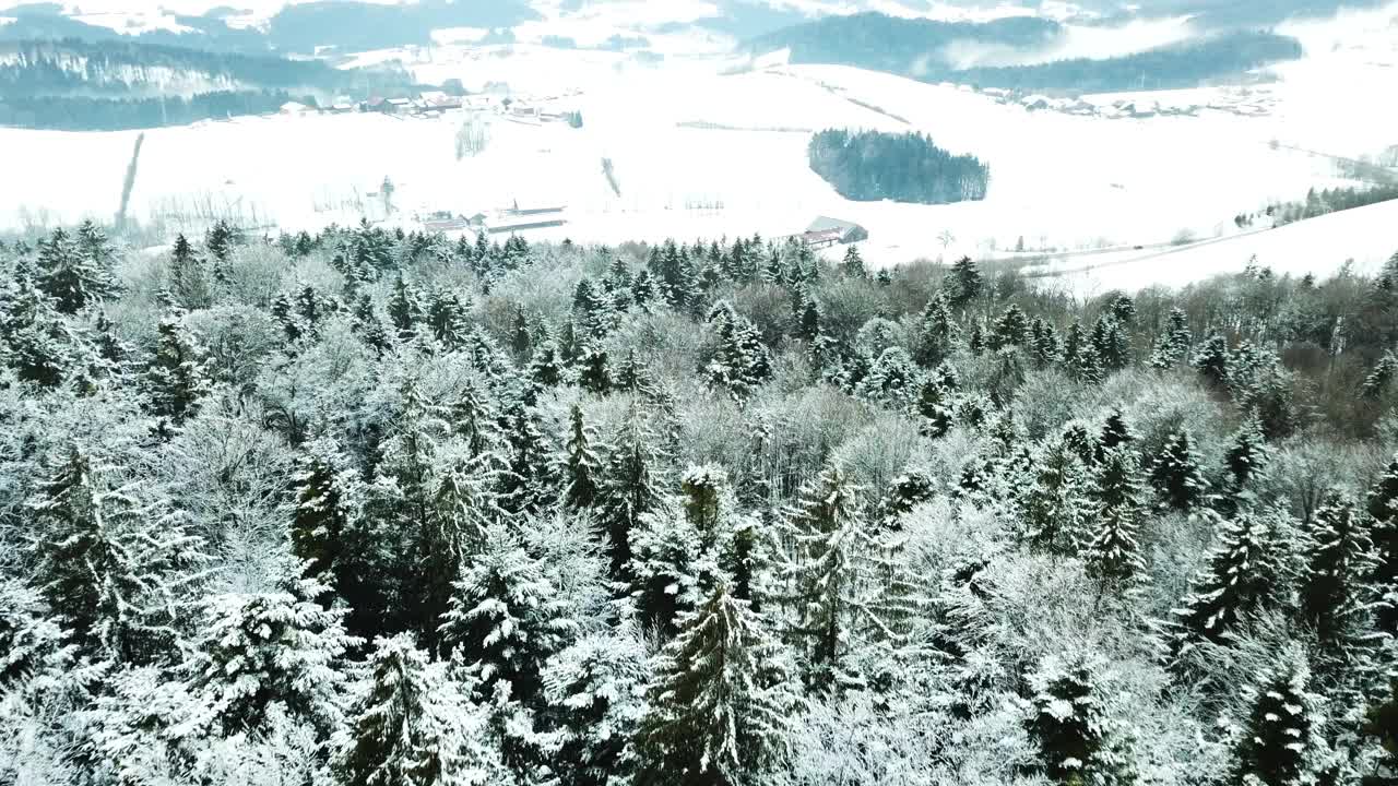 无人机在弗雷永森林和田野的巴伐利亚森林上空飞行视频素材