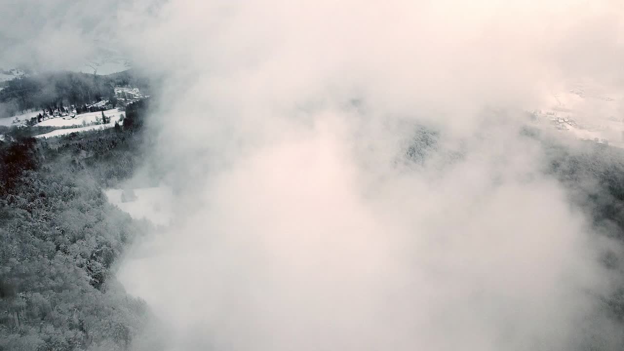 无人机在弗雷永森林和田野的巴伐利亚森林上空飞行视频素材