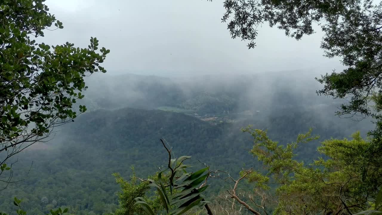 快速移动的云上升沿着雾蒙蒙的热带雨林山脉，从山顶的观点，冈农潘提，马来西亚。视频素材