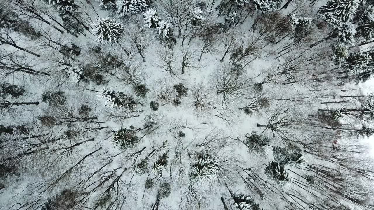 无人机在弗雷永森林和田野的巴伐利亚森林上空飞行视频素材