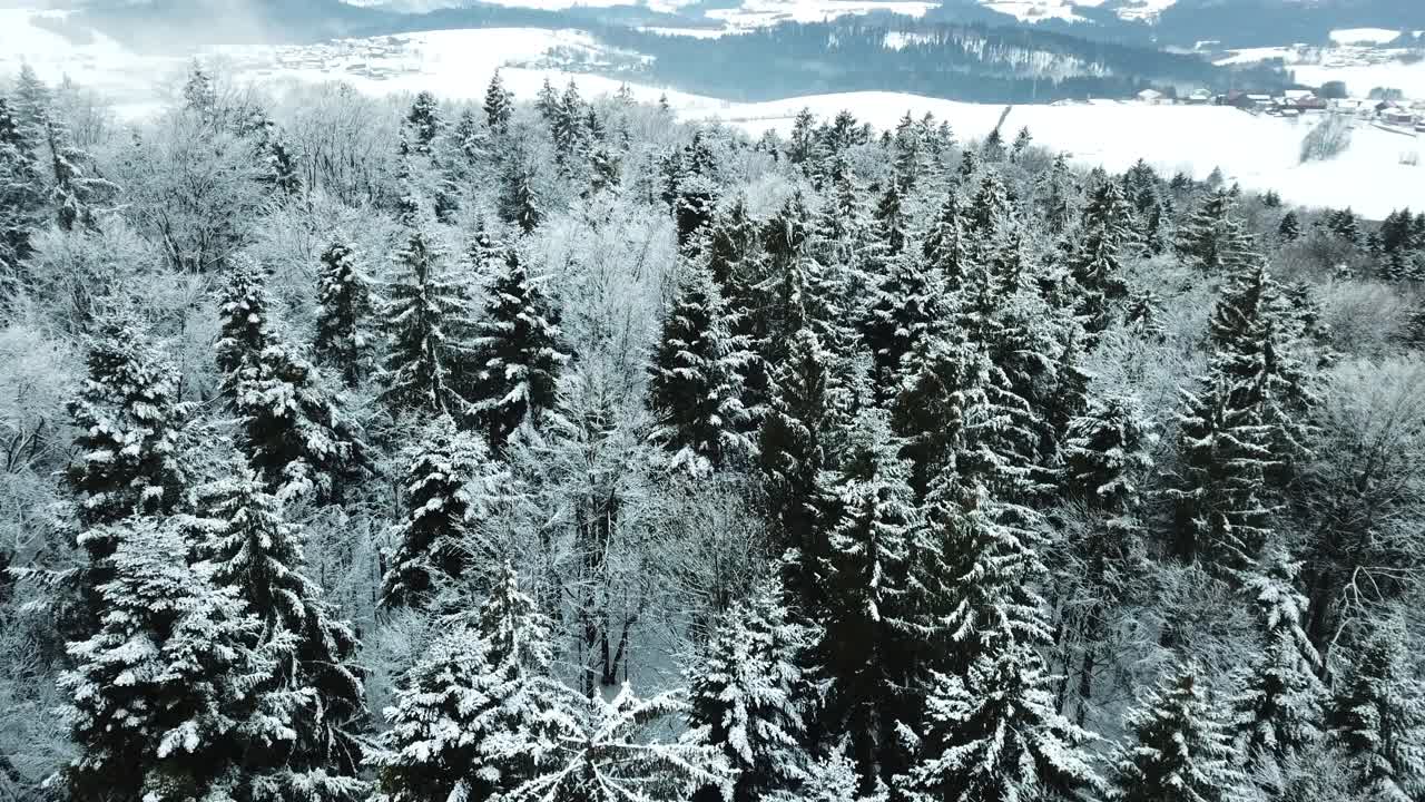 无人机在弗雷永森林和田野的巴伐利亚森林上空飞行视频素材