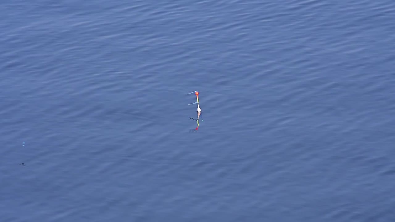 鱼竿漂浮在湖面上。视频素材