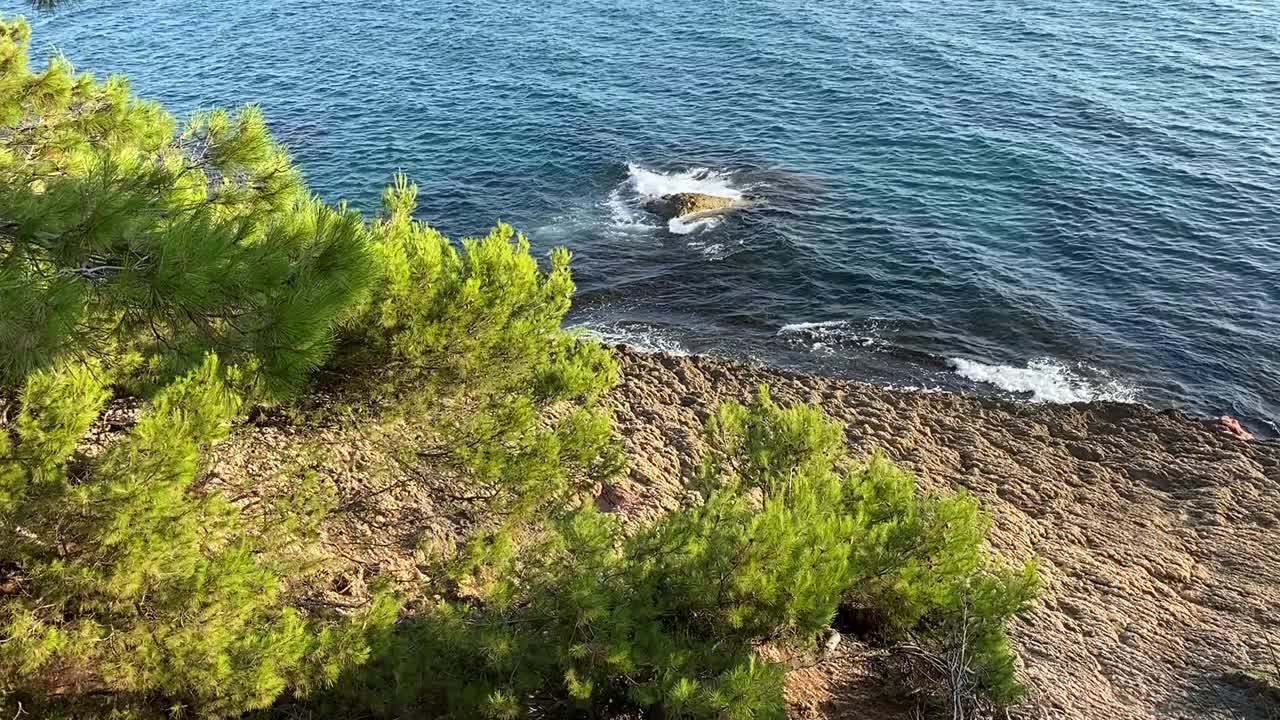 海岩岸边的针叶林。松柏常青树木. .地中海海岸田园诗般的自然景观。美丽的绿色夏日景色。视频素材