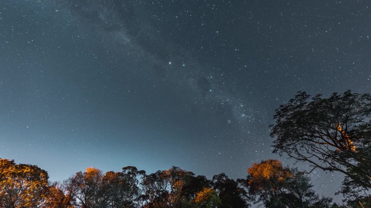 银河的夜晚时间流逝，前景是树木视频素材