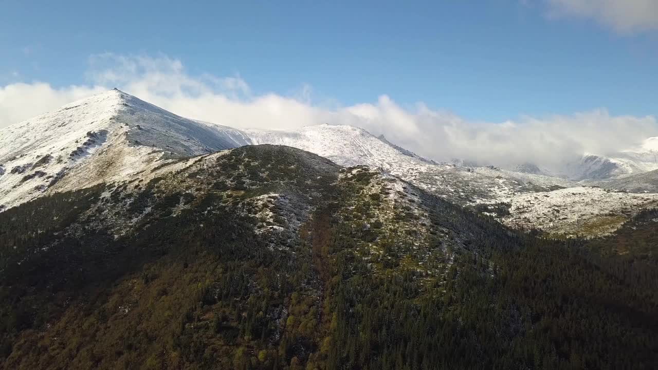 鸟瞰覆盖着绿色云杉森林和高雪峰的雄伟山脉。视频素材