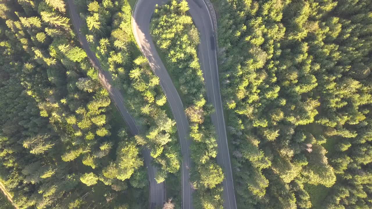 鸟瞰图的蜿蜒的道路与割草汽车和卡车在高山口，槽茂密的树林。视频素材