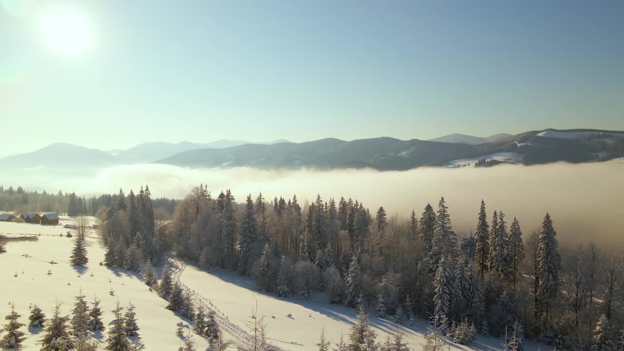 令人惊叹的冬季景观与松树的雪覆盖森林在寒冷的雾山在日出。视频素材