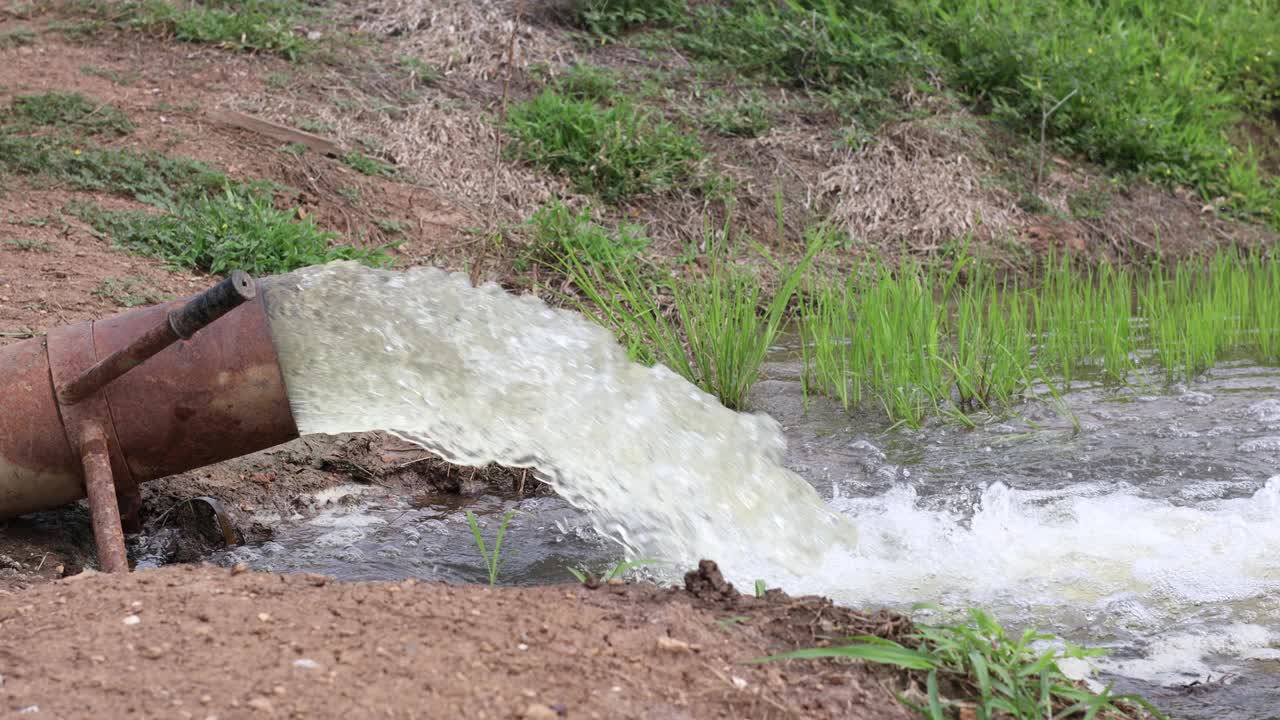水从管道猛烈地冲进绿色的稻田的特写镜头。视频素材
