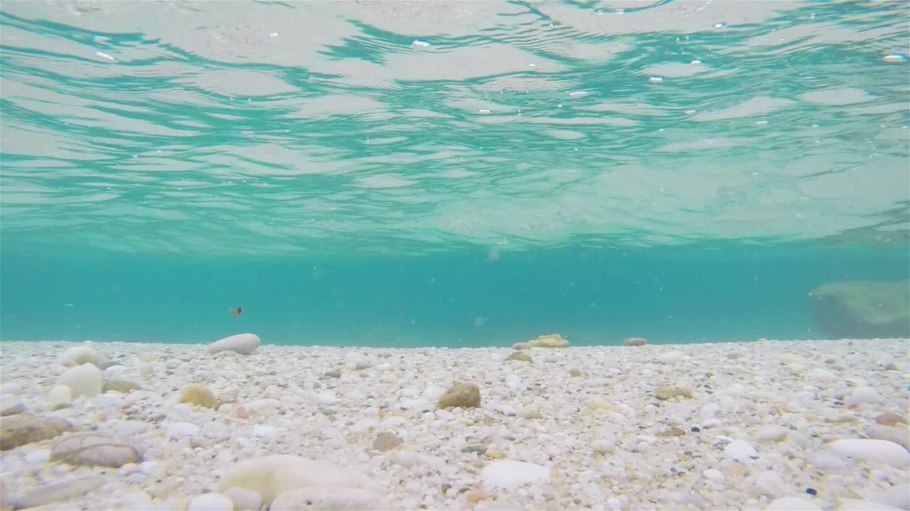 水下风景视频素材