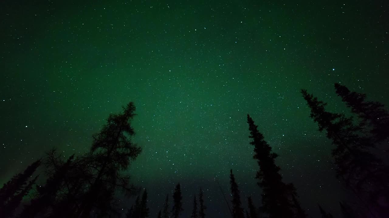 星空中的北极光，森林中的绿树覆盖白雪的景观-不列颠哥伦比亚省，加拿大视频素材