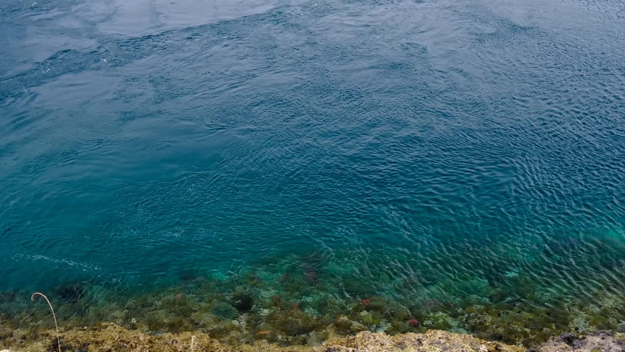 美丽的长岛海与高透明度视频素材