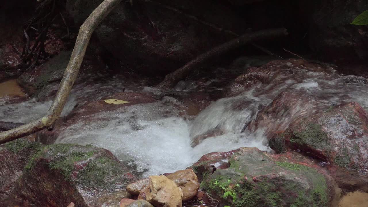 热带雨林中的山地河流。小溪里急速的瀑布。在野生丛林里，一条平静的小溪流过岩石和巨石。视频素材