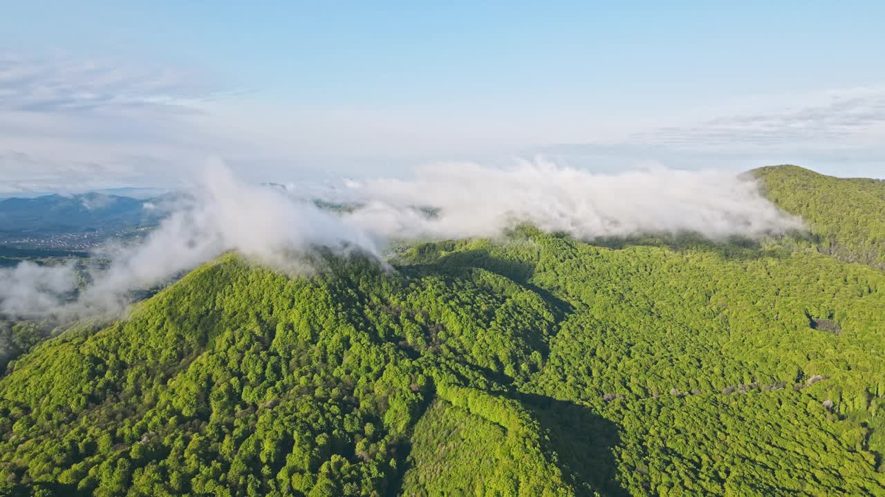 空中飞行在云层覆盖的山顶上的飞行。山上有茂密的森林，春天的绿叶覆盖着美丽的云朵。清晨在山巅视频素材