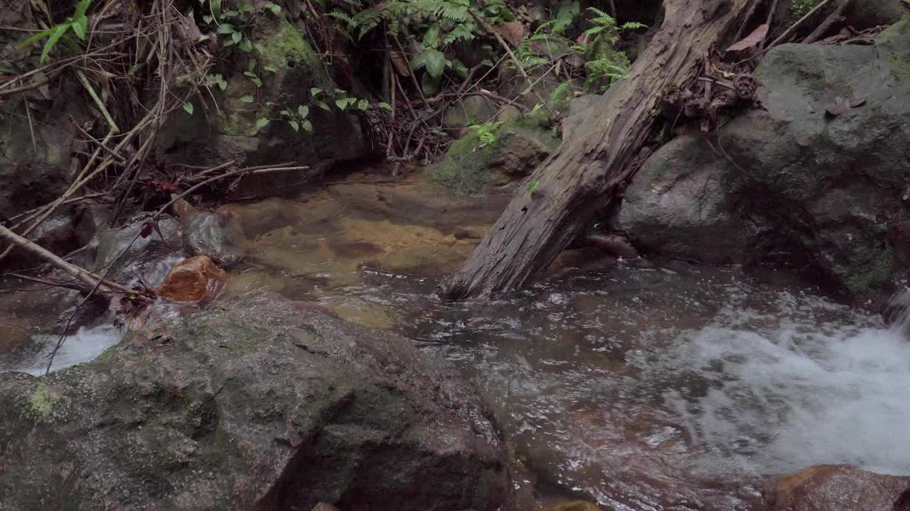 热带雨林中的山地河流。小溪里急速的瀑布。在野生丛林里，一条平静的小溪流过岩石和巨石。视频素材