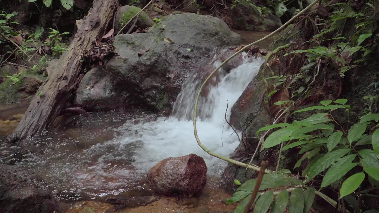 热带雨林中的山地河流。小溪里急速的瀑布。在野生丛林里，一条平静的小溪流过岩石和巨石。视频素材