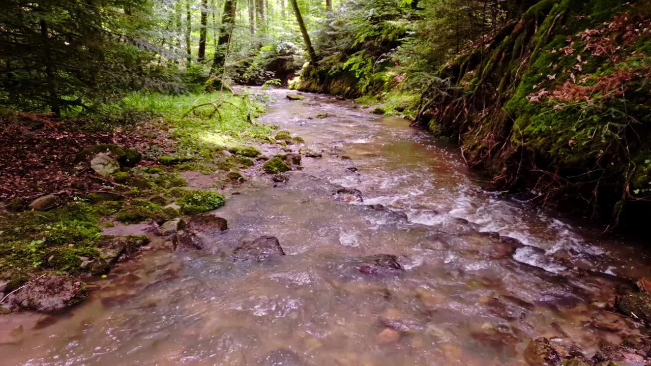 森林里的流水视频素材