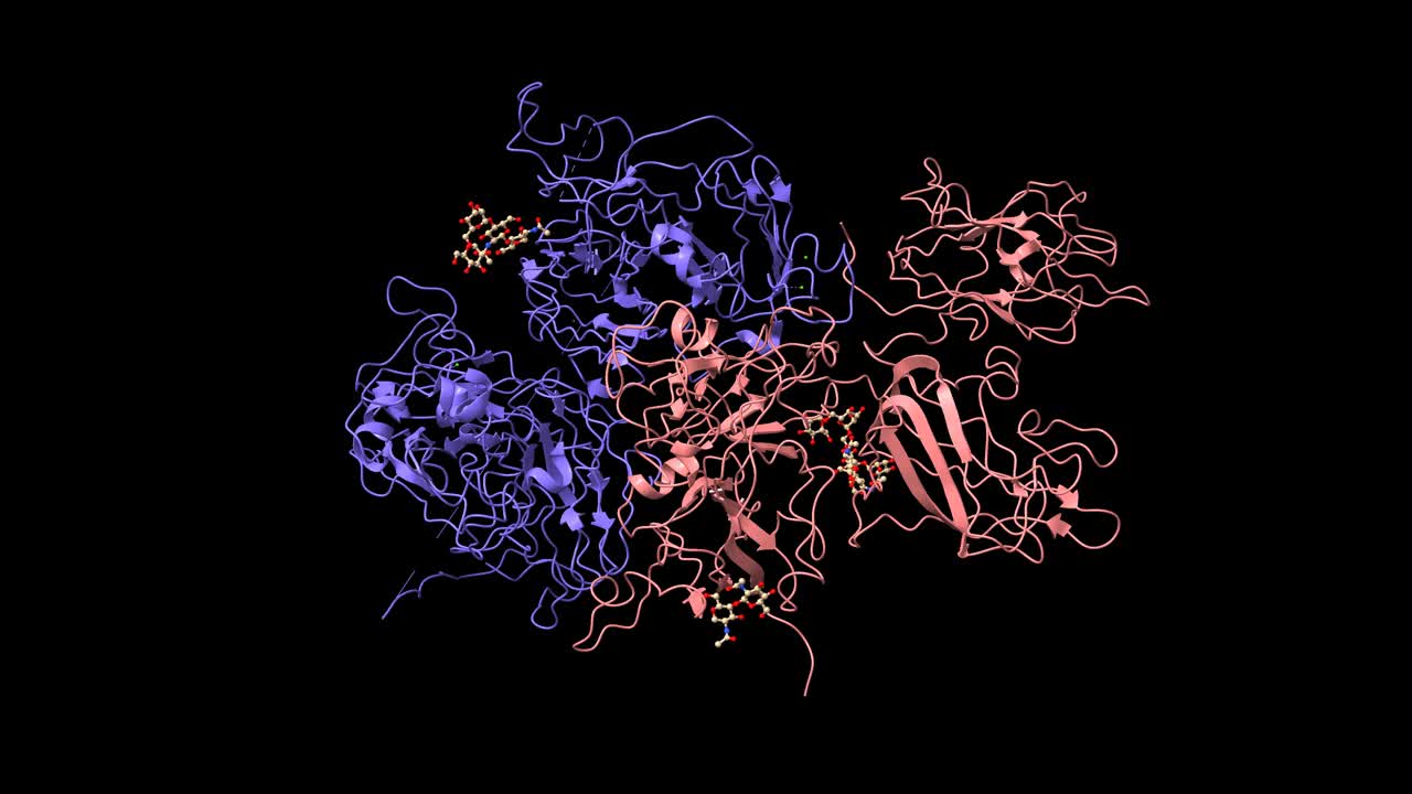 凝血因子VIII的结构视频素材
