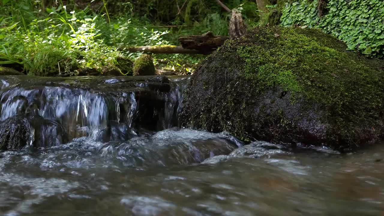 森林里的流水视频素材