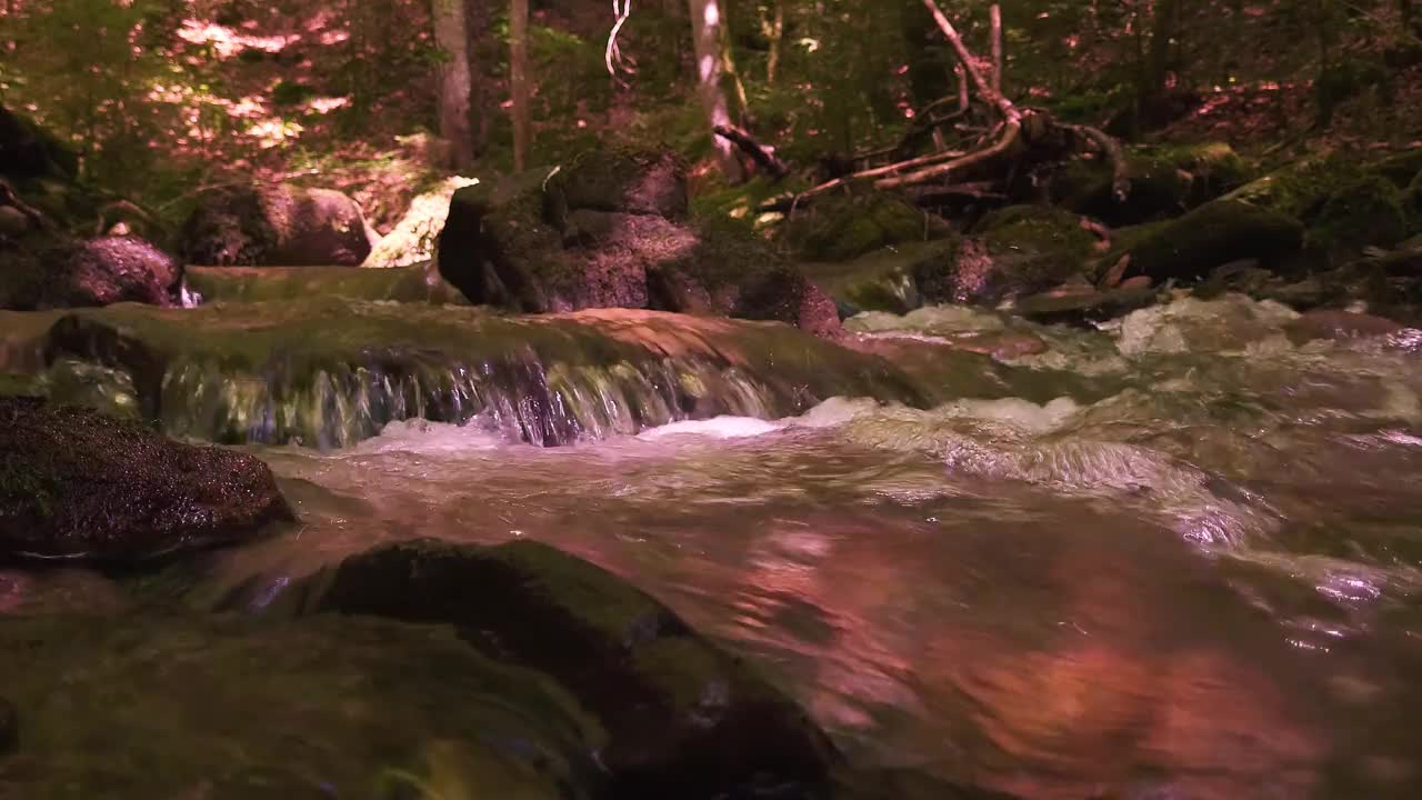 森林里的流水视频素材