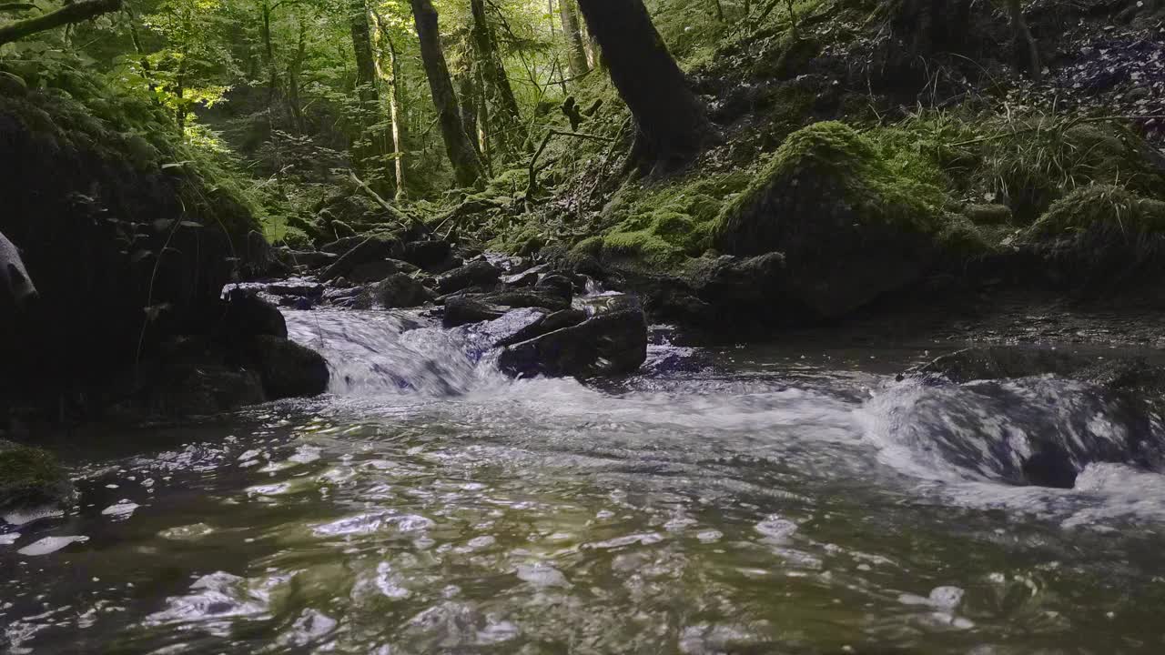 森林里的流水视频素材