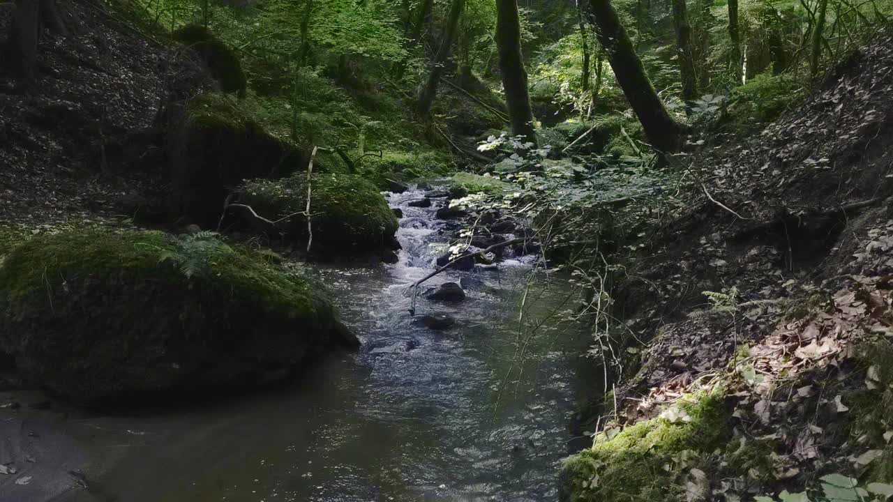 森林里的流水视频素材