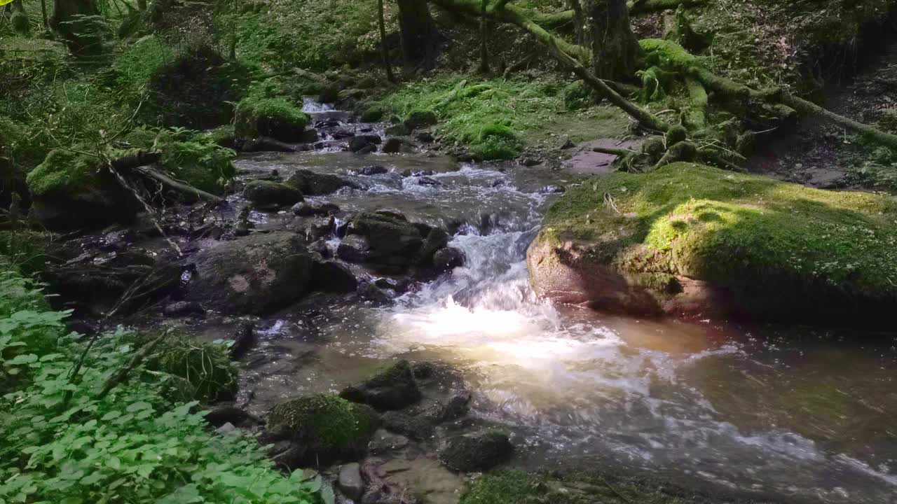 森林里的流水视频素材