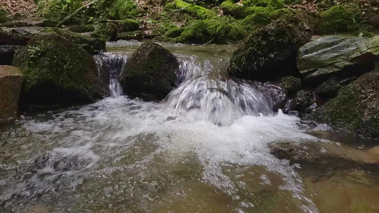 森林里的流水视频素材