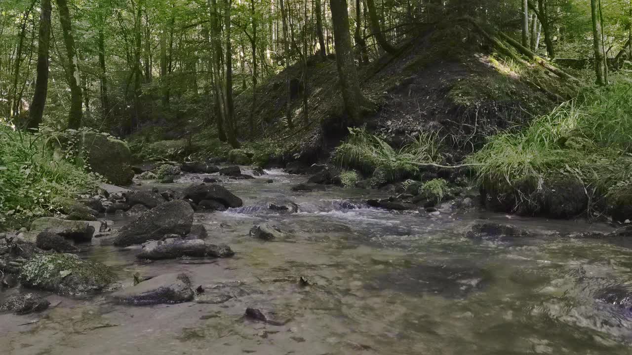 森林里的流水视频素材